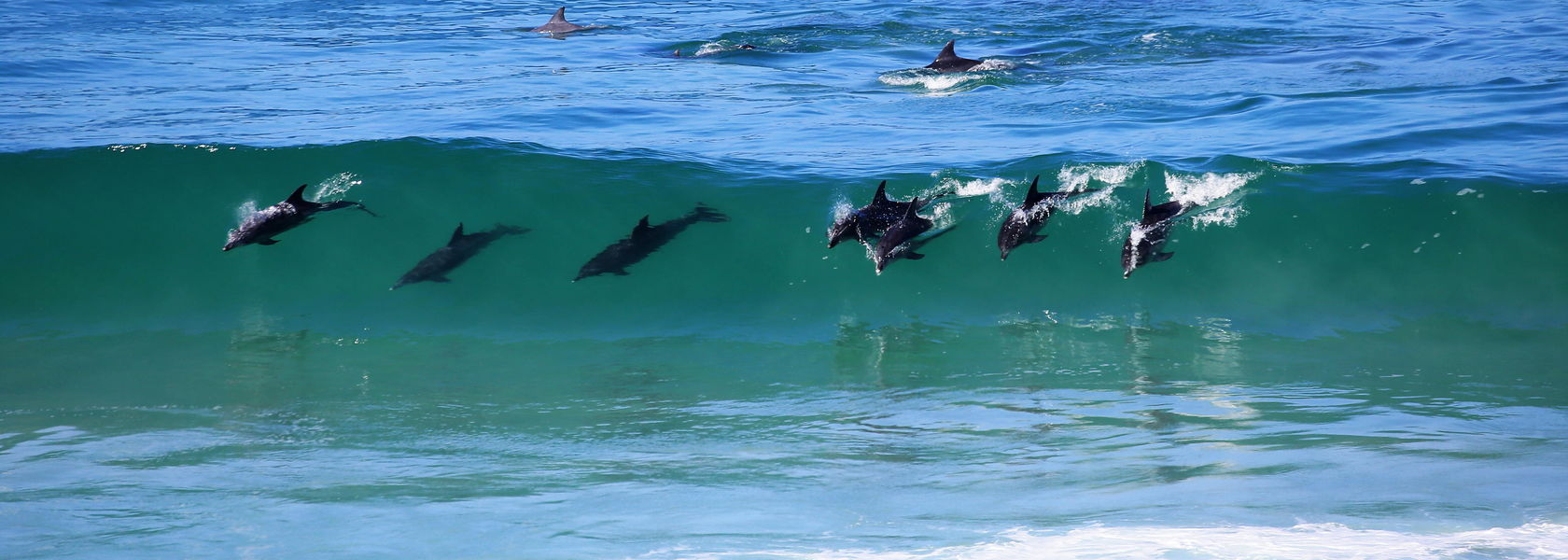 De Hoop - Natuur Reservaat - Zuid-Afrika - Matoke Tours