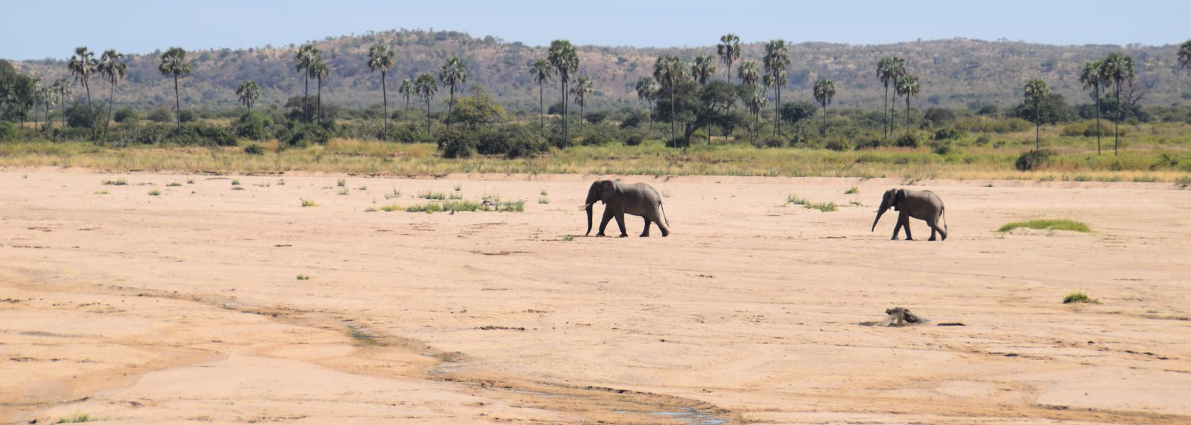Matoke Tours