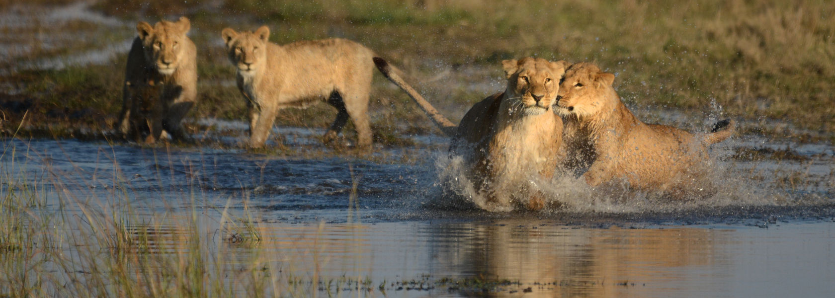 Individuele rondreis Botswana | 12 dagen reis | Matoke Tours