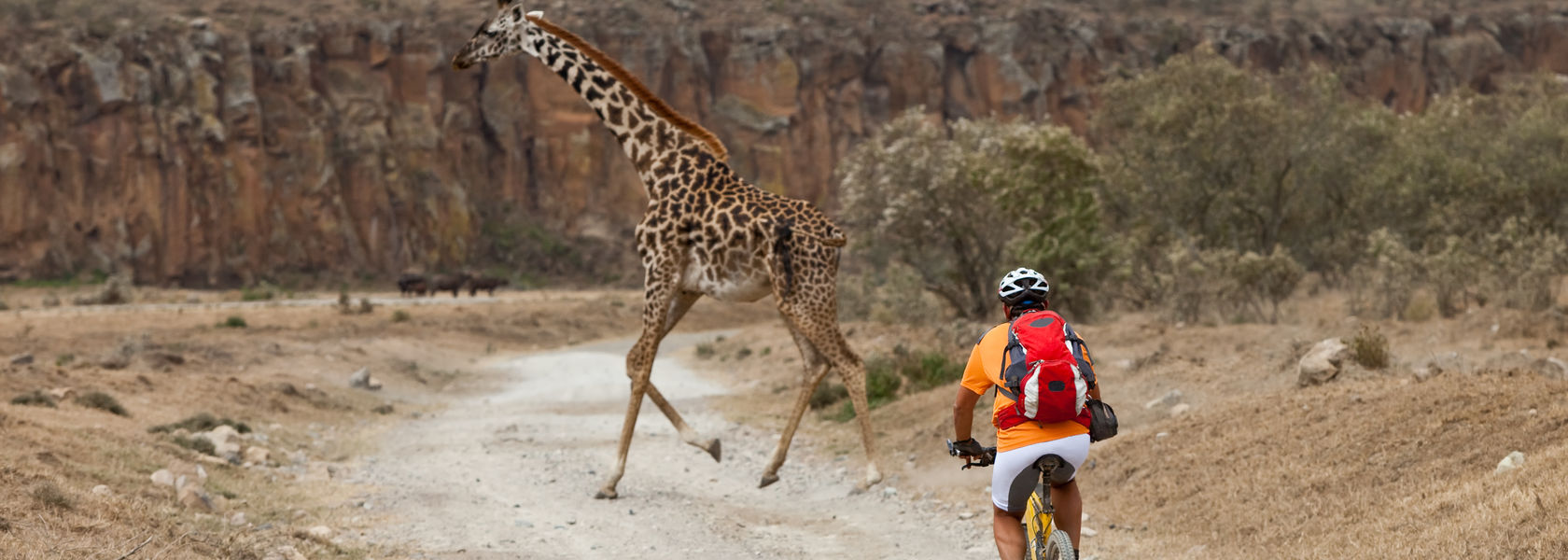 Lake Naivasha | Matoke Tours