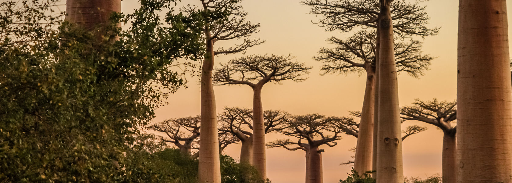 Individuele rondreis door Madagascar | Prive reizen Madagaskar