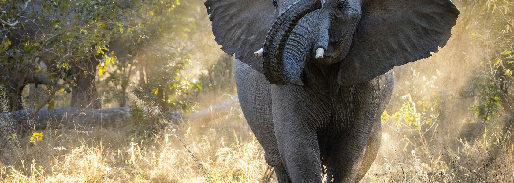 Er is iets mis met uw betaling » Matoke