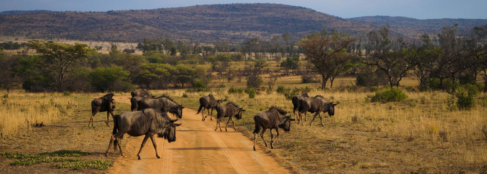 Waterberg - Nationaal Park - Zuid-Afrika - Matoke Tours
