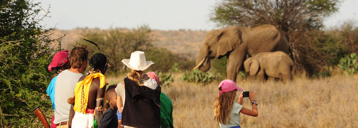 Matoke Tours