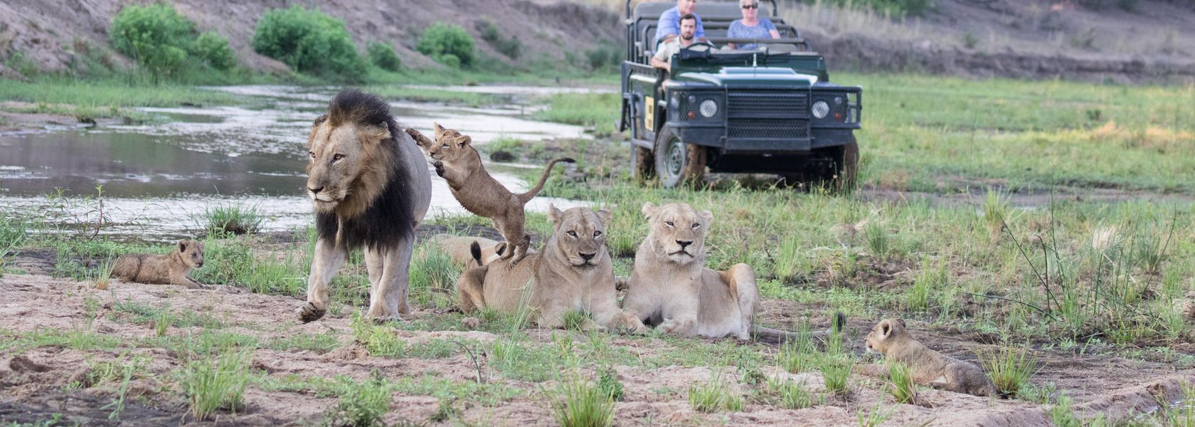 Zuid-Afrika safari - Wat kost een reis naar Zuid-Afrika?