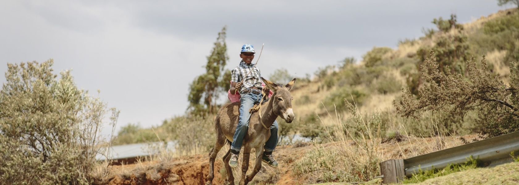 Drie weken Zuid-Afrika: 20-daagse reis Zuid Afrika, Lesotho en Eswatani