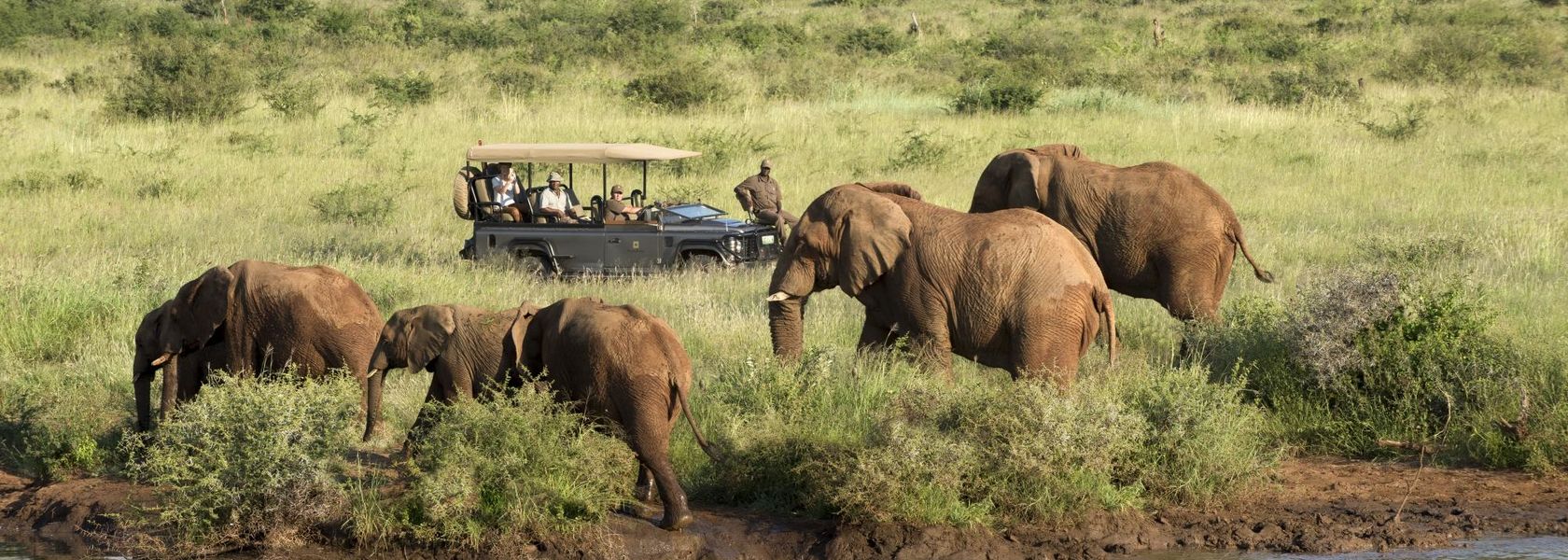 Madikwe - Natuur Reservaat - Zuid-Afrika - Matoke Tours