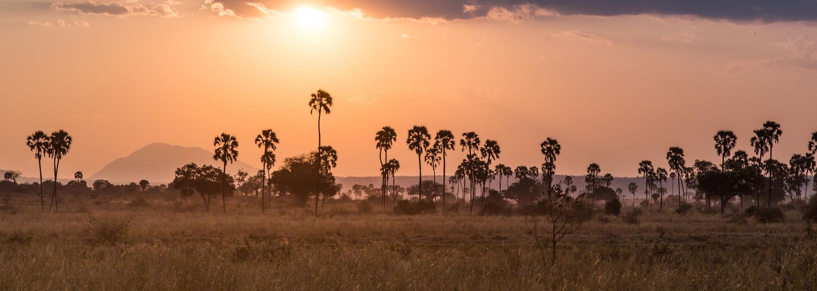 Fly-in safari Tanzania - Zuid Tanzania per vliegtuig - Matoke Tours