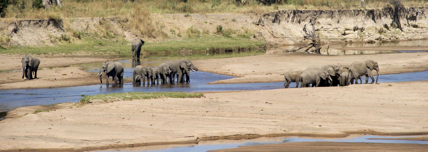 Safari selous vanuit zanzibar - Selous safari Zanzibar | Matoke Tours