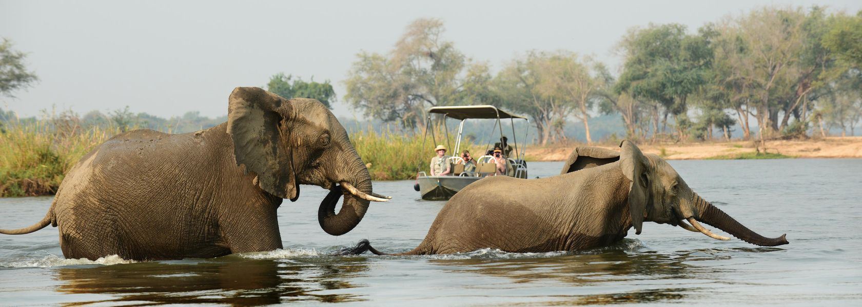 Matoke Tours