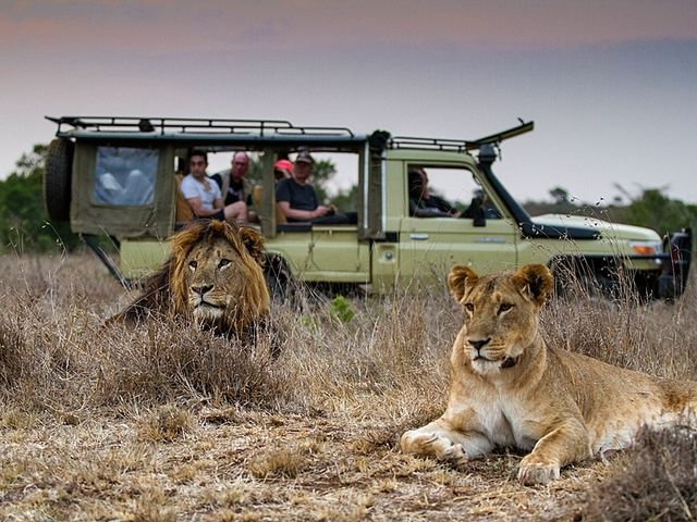 Safari reizen Afrika – Uit liefde voor Afrika | Matoke Tours
