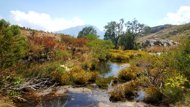 Mount Mulanje - hoogtepunten - Malawi