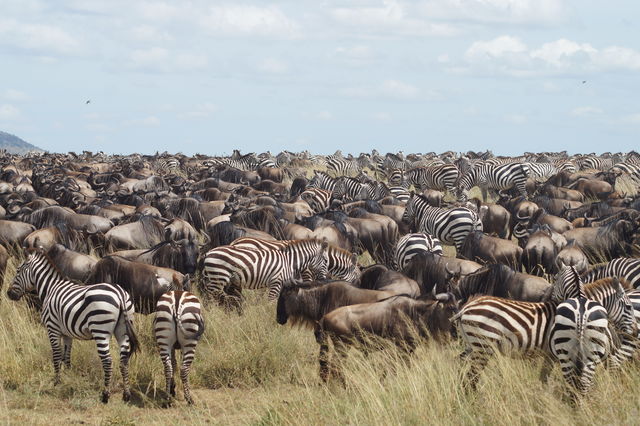 Noord-Tanzania reizen laagseizoen, Afrika | Matoke Tours