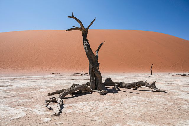 Deadvlei Namibië – Matoke Tours