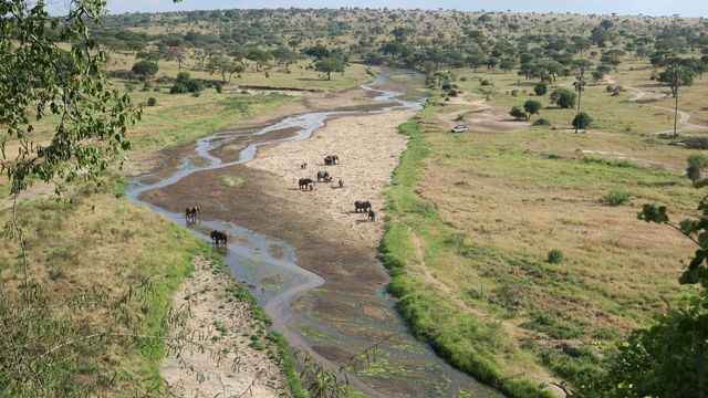 Noord-Tanzania reizen laagseizoen, Afrika | Matoke Tours