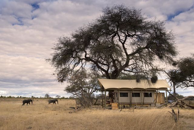 11-daagse Rondreis - Het beste van Zimbabwe - Matoke Tours