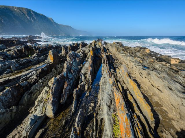 Tsitsikamma Nationaal Park - Tuinroute | Matoke Tours