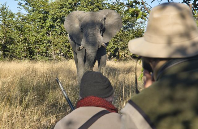 Safari Zimbabwe – uit liefde voor Zimbabwe | Matoke Tours