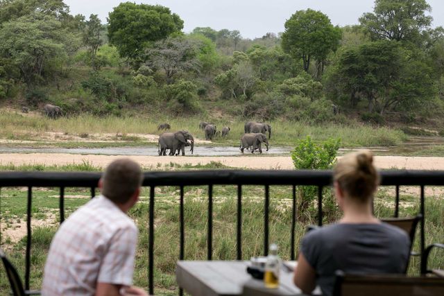 12-daagse Zuid Afrika Fly-in reis: Kruger, Kaapstad en wijnlanden