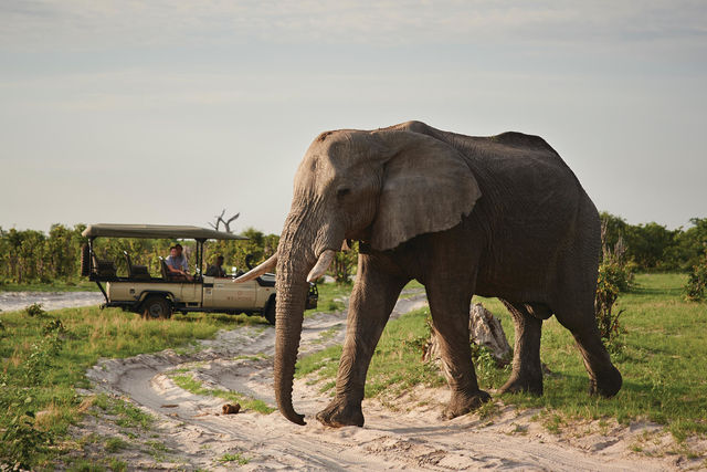 Rondreis Namibië Botswana en Zimbabwe | Matoke Tours