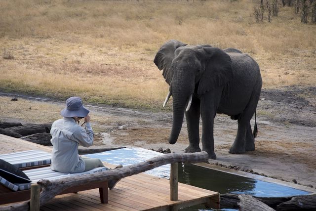 Self drive Zimbabwe - rij zelf door Zimbabwe met deze 4x4 autorondreis