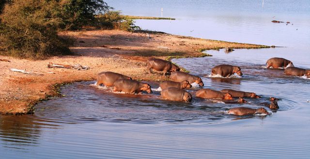 14 daagse Individuele rondreis Zimbabwe - Matoke Tours