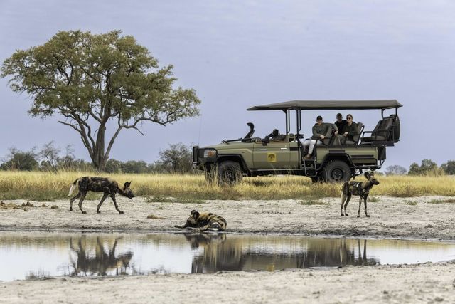 11-daagse reis 'het beste van Botswana' - Matoke Tours