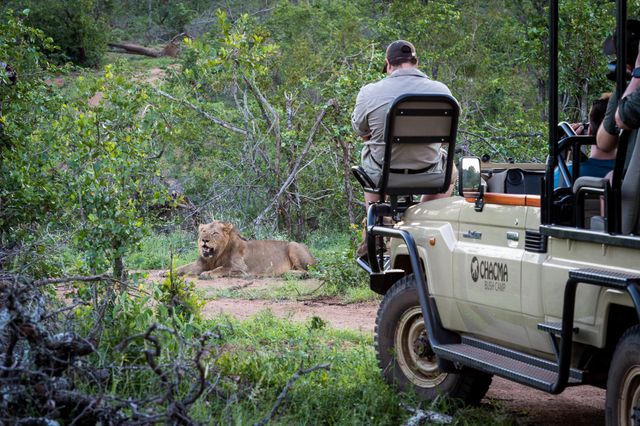 Reis door Zuid Afrika in 3 weken | Zuid Afrika compleet