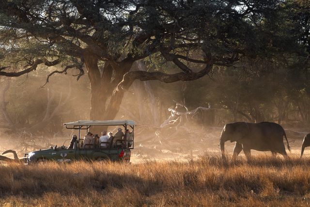 Safari reizen Afrika – Uit liefde voor Afrika | Matoke Tours