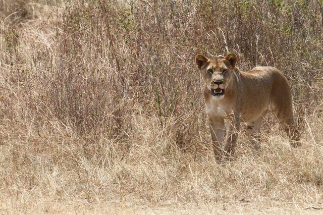 Wat mag je niet missen in Rwanda? » Matoke