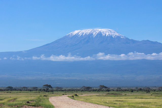 Op zoek naar de Kilimanjaro! » Matoke