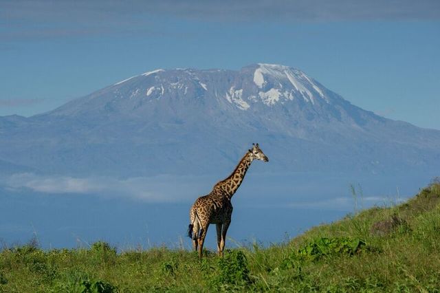 Arusha National Park - Arusha - Tanzania - Mount Meru