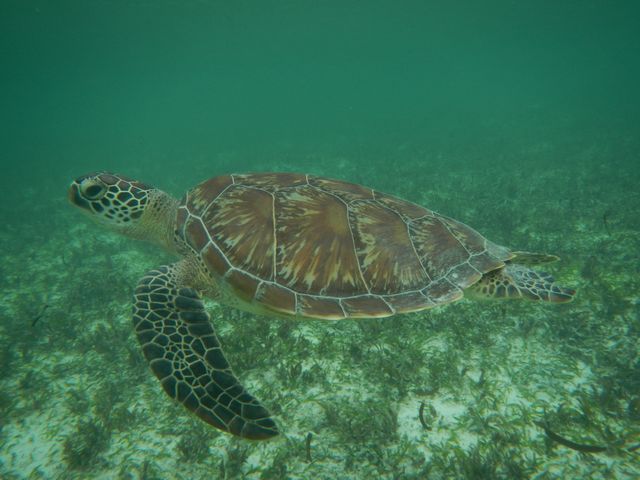 Michele en Marielle van Matoke Tours op studiereis naar de Seychellen