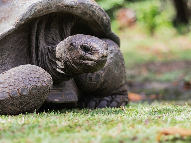 Top 7 bezienswaardigheden op de Seychellen | Matoke Tours