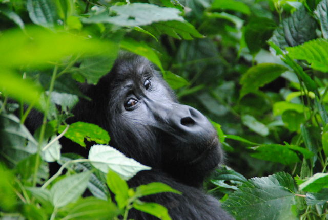 Safari en strand combineren – Bush & Beach | Matoke Tours