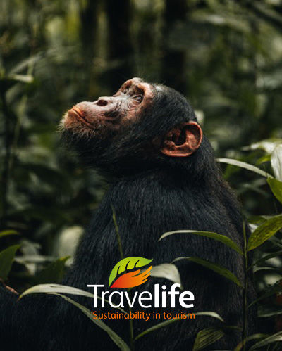 Matoke Tours Travelife gecertificeerd