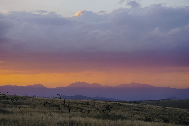 Reisspecialist Iris van Matoke Tours op studiereis in Kenia