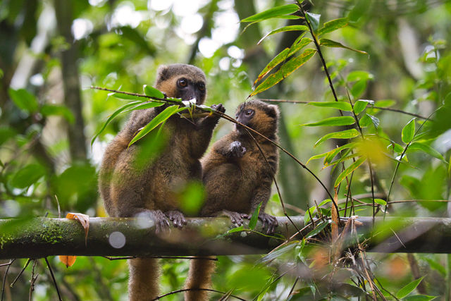 Safari en strand combineren – Bush & Beach | Matoke Tours