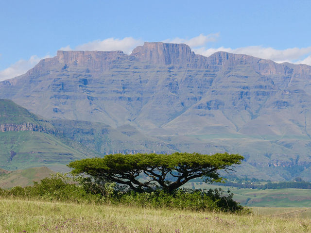 Drakensbergen - Drakensberg - Zuid-Afrika - Matoke Tours