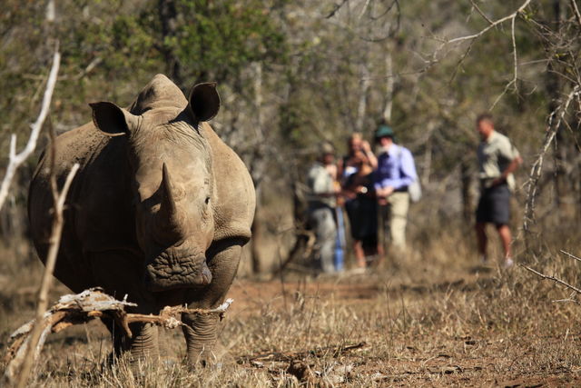 Eswatini - voormalig Swaziland - Zuid - Afrika - Matoke Tours