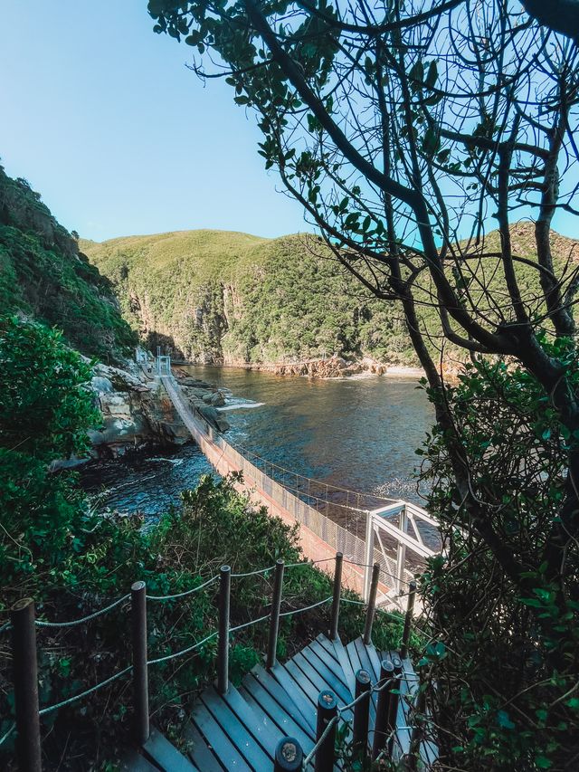 Tsitsikamma Nationaal Park - Tuinroute | Matoke Tours
