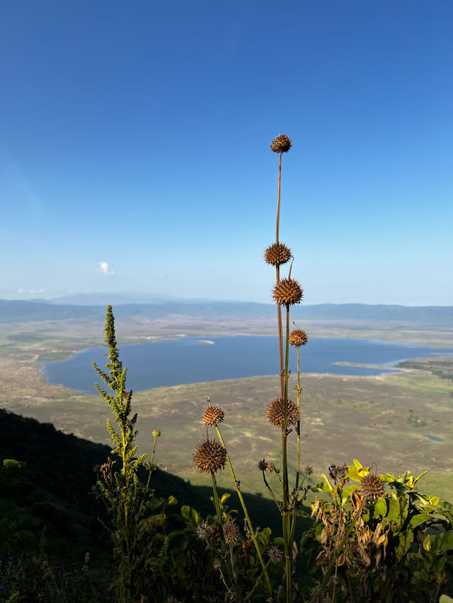 Reisspecialist Joanna van Matoke Tours op studiereis in Tanzania