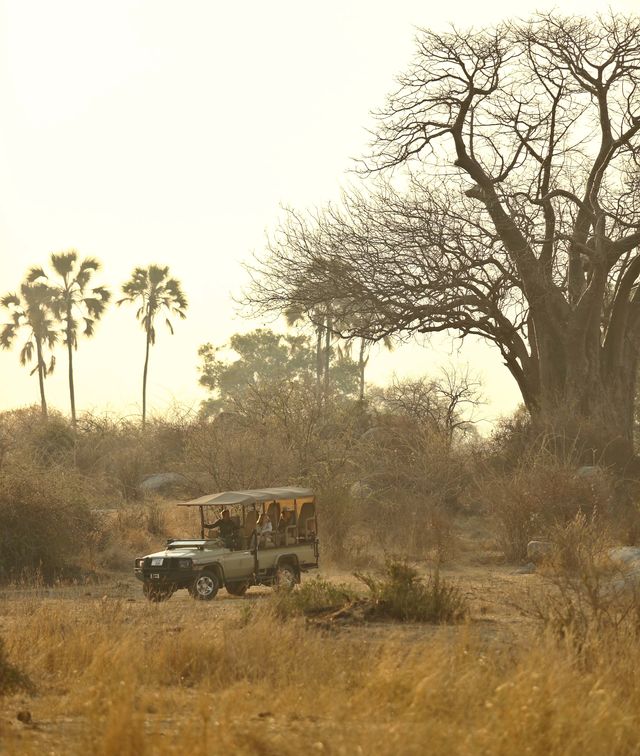 Luxe reizen Afrika – Boek hier een luxe safari | Matoke Tours