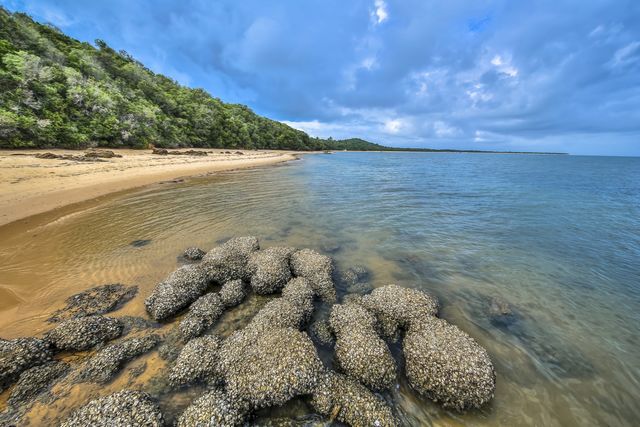 Stranden Mozambique Machangul, Inhaca en Maputo | Matoke Tours