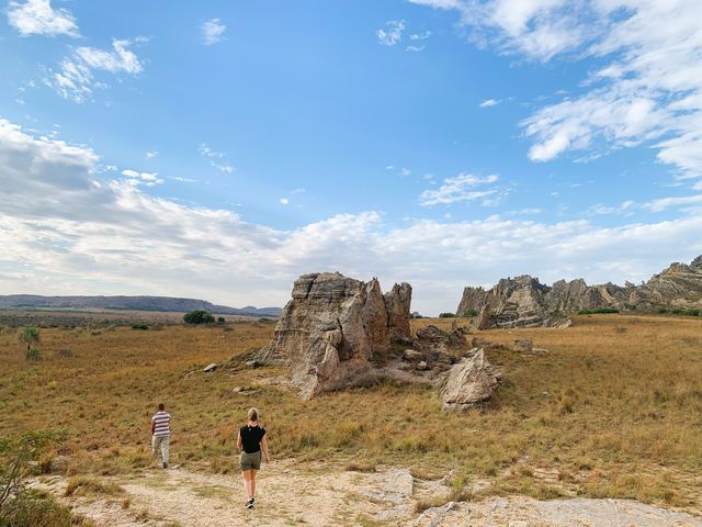 Beste reistijd voor een safari in Afrika | Matoke Tours