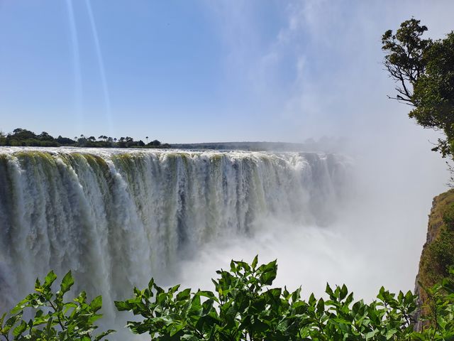 Beste reistijd voor een safari in Afrika | Matoke Tours