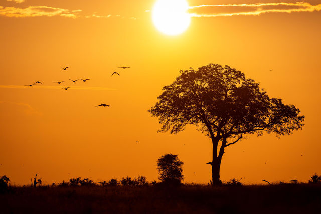 Klimaat & weer Zuid-Afrika - Beste reistijd Zuid-Afrika | Matoke Tours