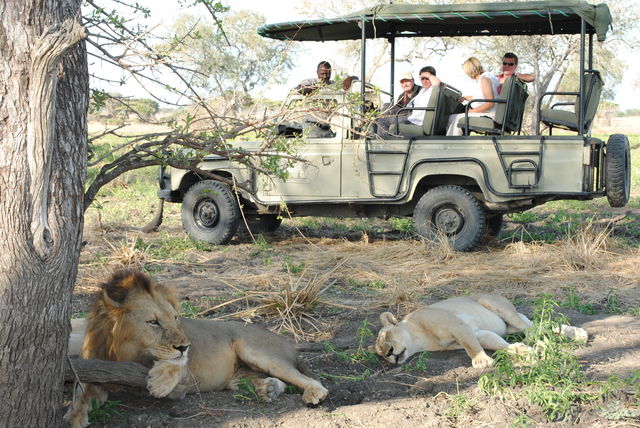 Zuid Tanzania safari met Comoren - Matoke Tours