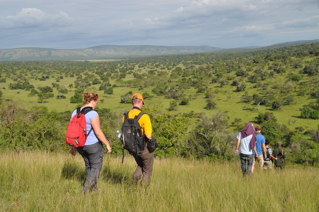 Lake Mburo – Matoke Tours
