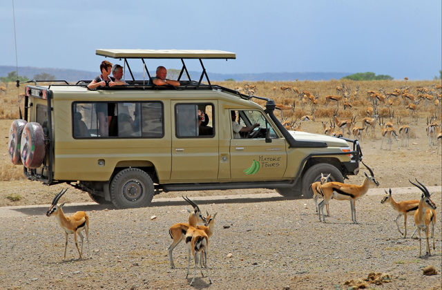 Ngorongoro Crater - Matoke Tours